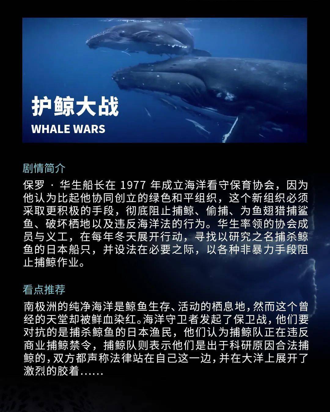 好片有约 | 珍稀动物保育第一线勇士们,瑞思拜!