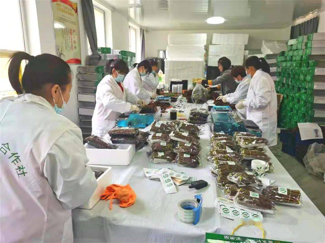 之后,想吃鲜美的香椿,可以尝试香椿酱等深加工产品