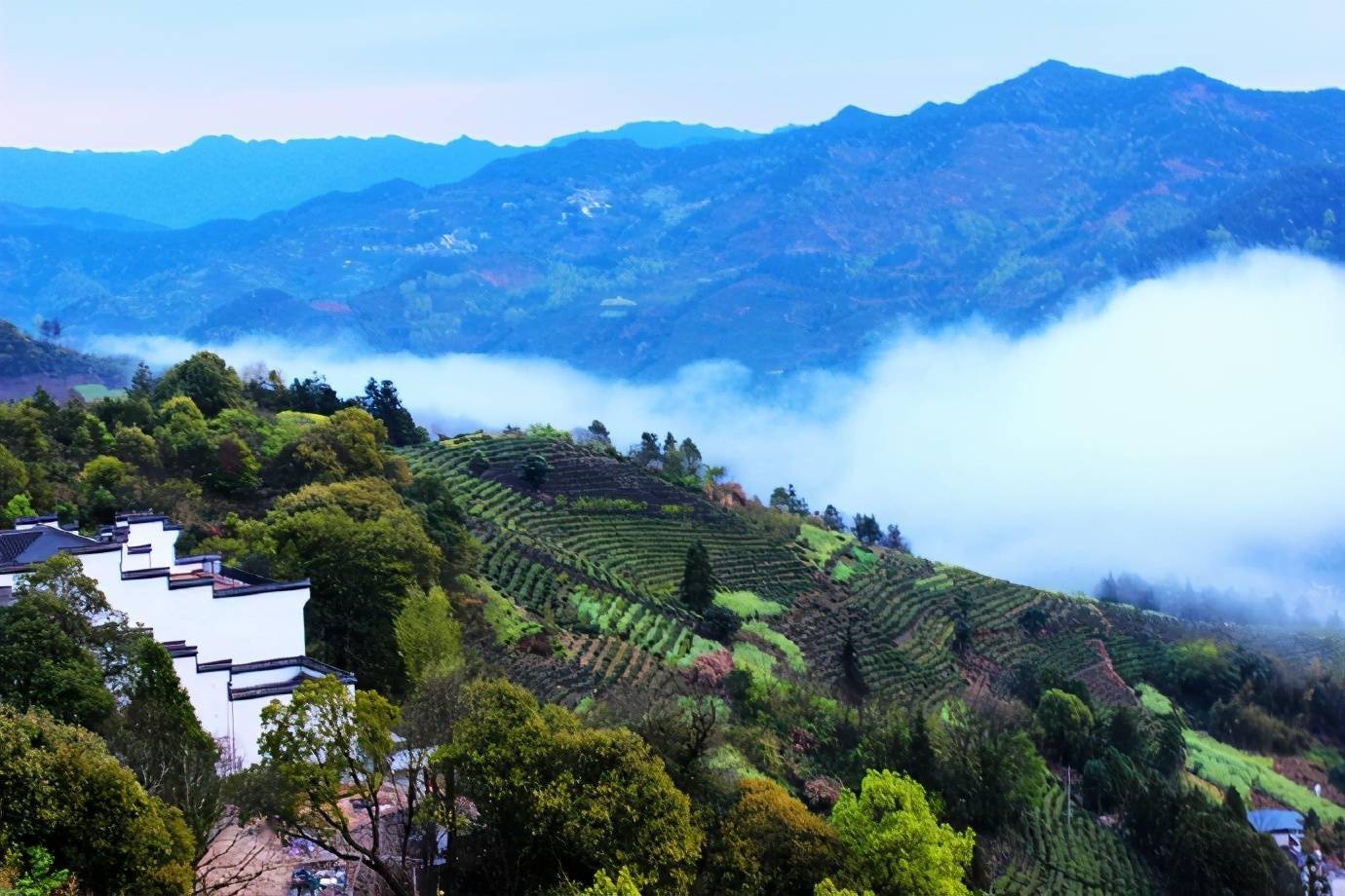 晨雾里的下汰村,美得没忍住喊出了声"太美啦"_云雾