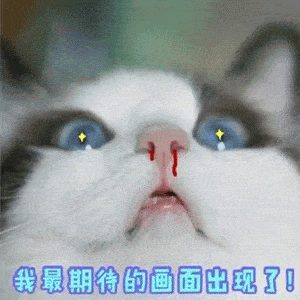 8327ac32faa24223a099d3757c38e27c.gif