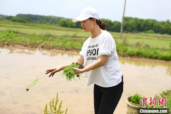 田间地头的职业女农民:借力科技乡村创业