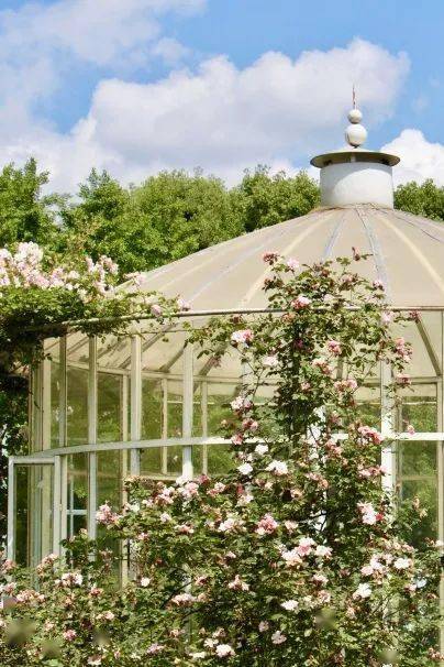 成都超浪漫玫瑰花海上线少有人知的冷僻玫瑰谷遍植玫瑰的法国庄园这些