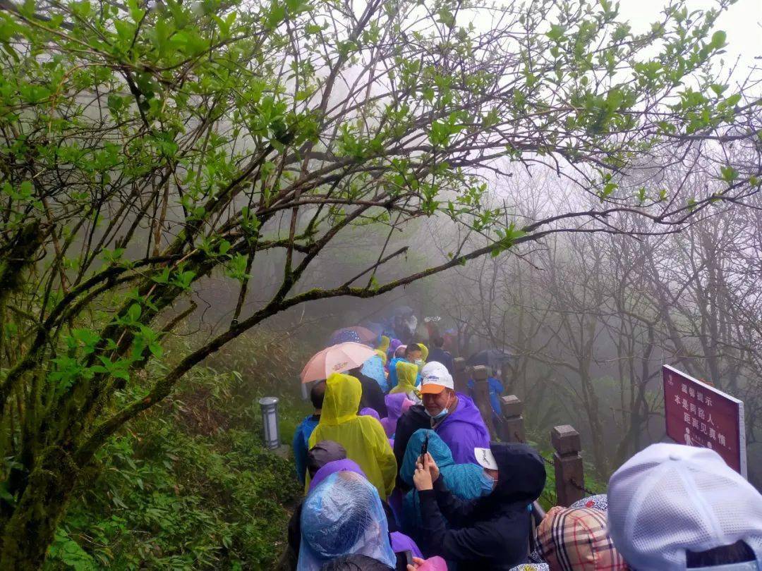 东北旅游景点排行_南方最值得去的5个景点排行榜,二三名争议不断,第一名当之无愧