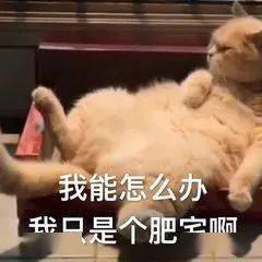 9ecac5bd289c40bfb2206c90d426b9fb.jpeg