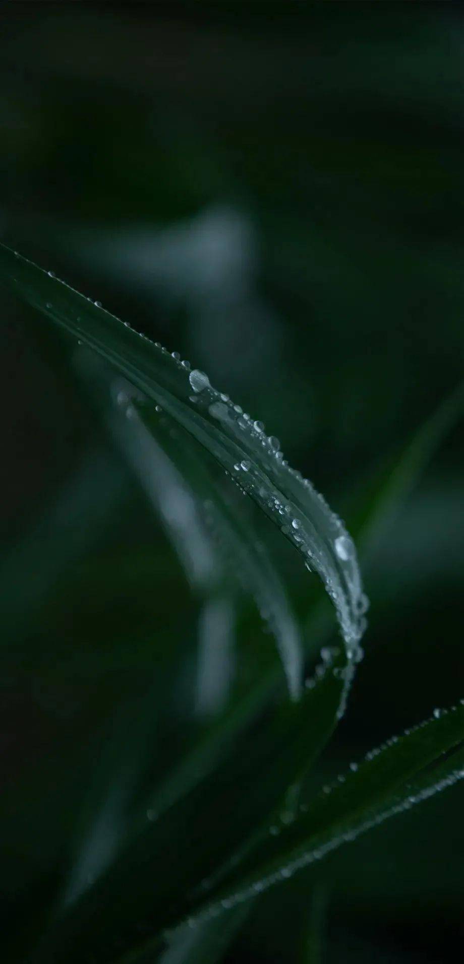 骤雨初歇简谱_骤雨初歇(3)