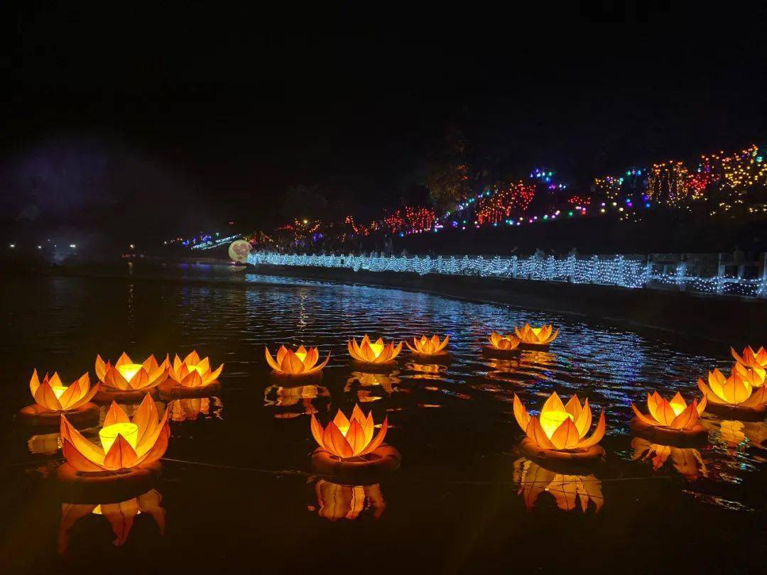 夜太美崇明这场光宴夜花岛震撼来袭文末送票