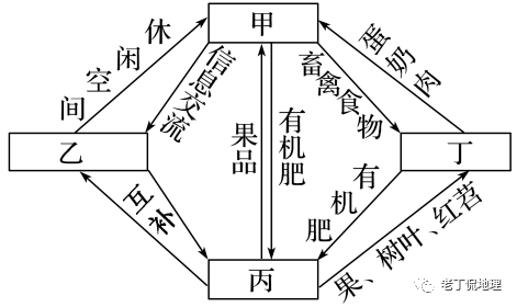 温州农村人口回流_温州人口热力图(3)