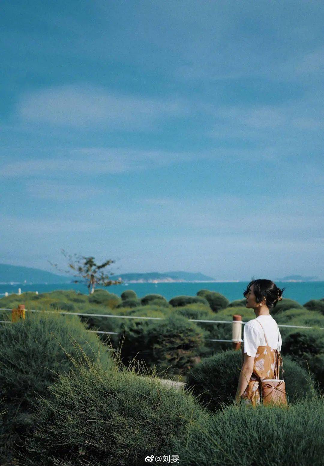 不凹造型不背相机朋友圈摄影大赛轻松胜出