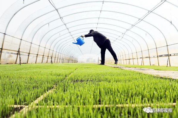 吉林市 明媚春光里 奋进正当时