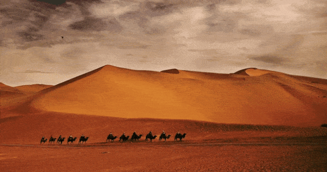 精美绝伦的莫高窟壁画?憨厚可爱的沙漠骆驼?西北边塞的商队贸易?