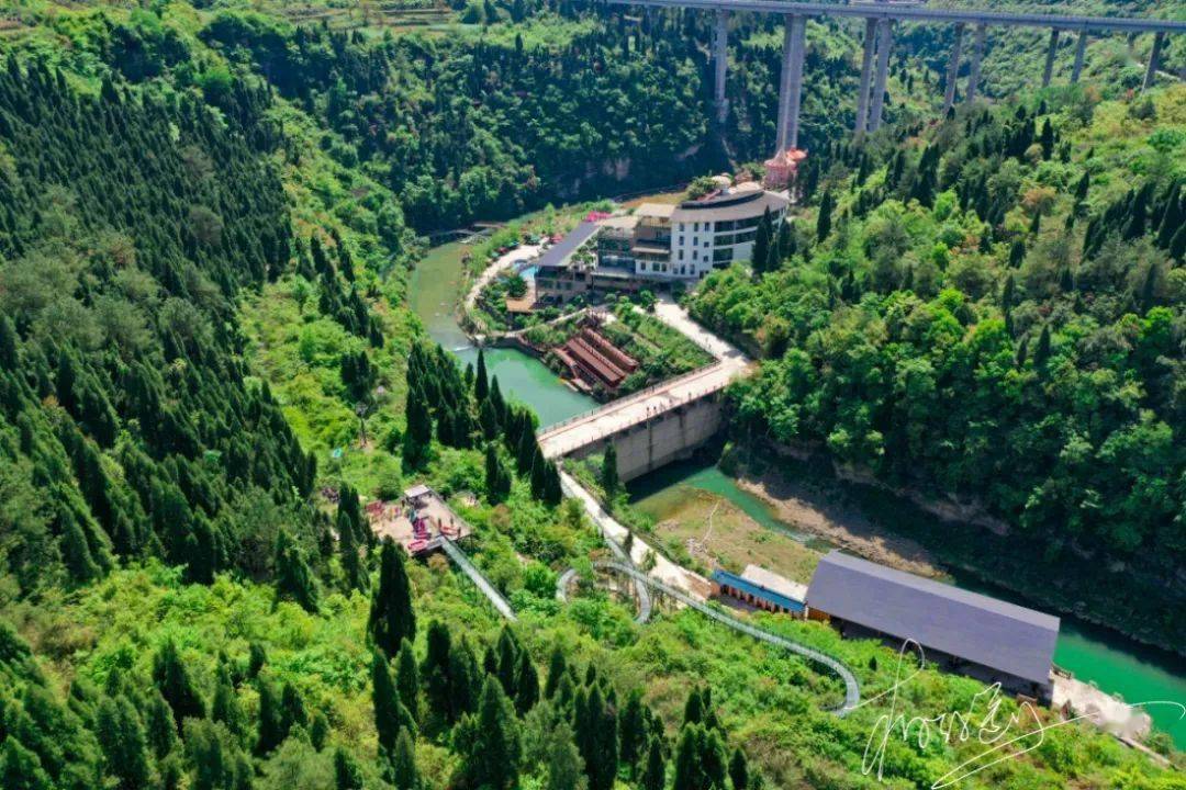 麗日當空,彷彿所有的生命都應約而染,沉溺在陽光中眯著眼,安然在水泊