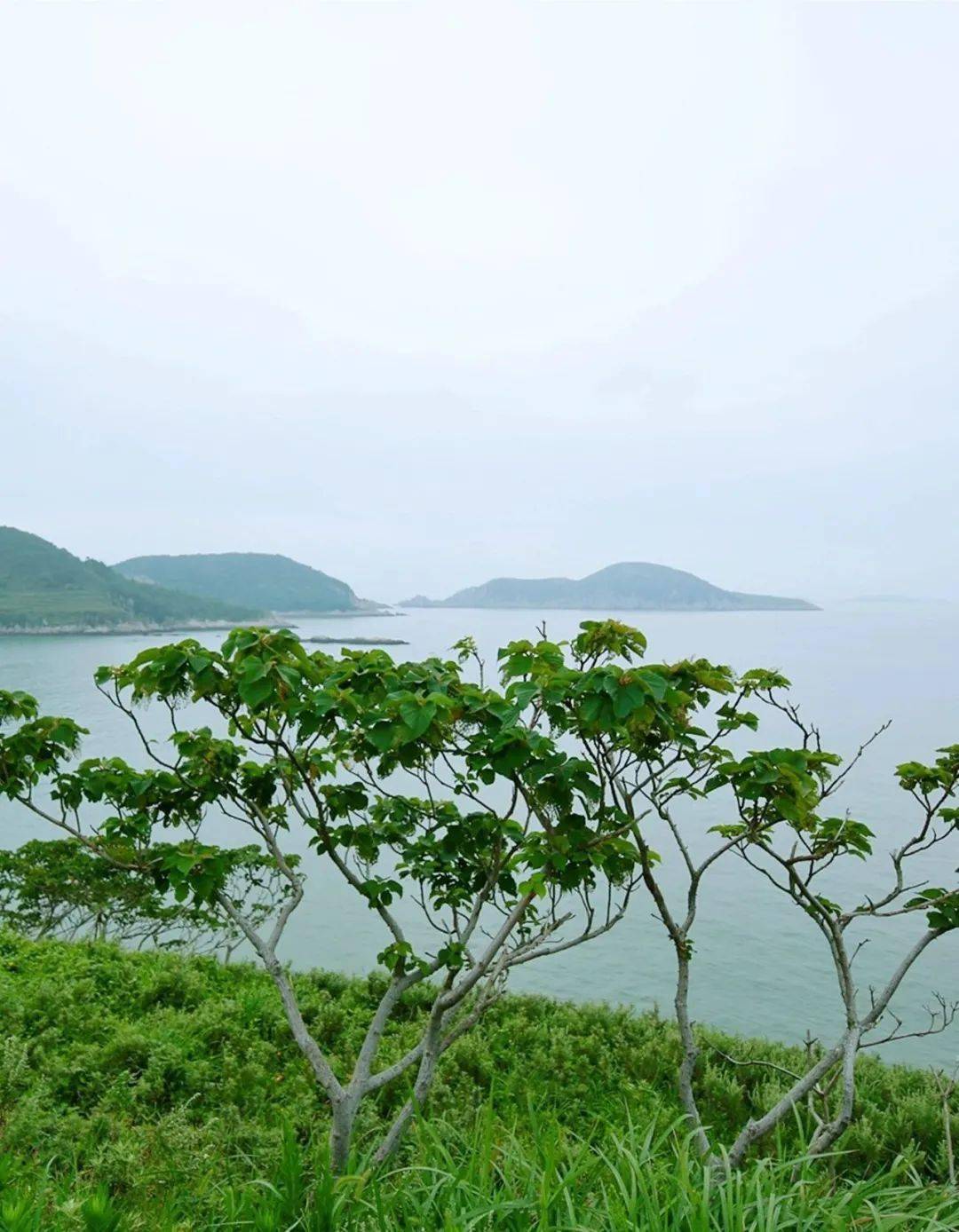 田岙岛上山丘很多,虽然登山观海比较费体力,但原始自然,野趣十足的山