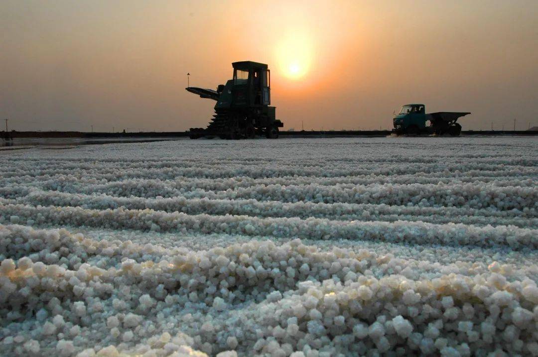 山东海化羊口盐场创新发展纪实