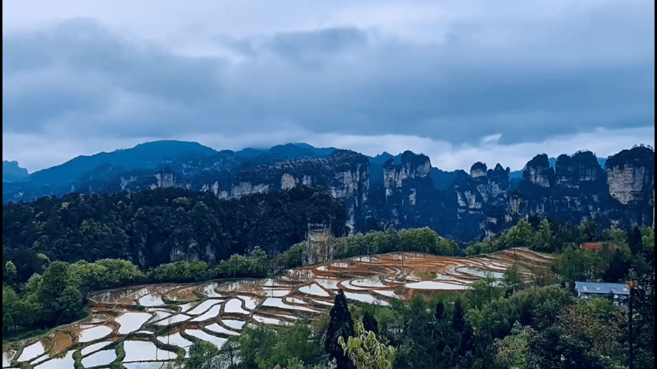 没想4月来张家界玩一趟却在沧海桑田确定了余生