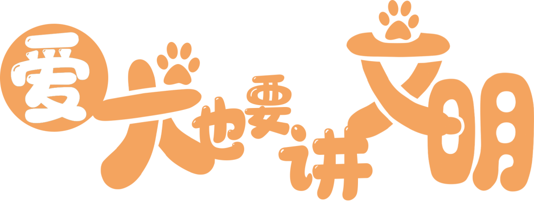 文明养犬爱犬也要讲文明