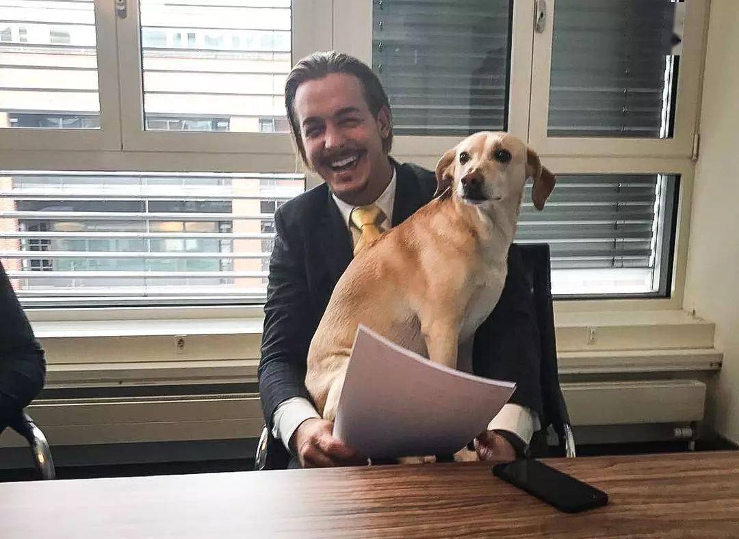 放弃高薪去非洲救动物他把大狮子变成了小猫咪