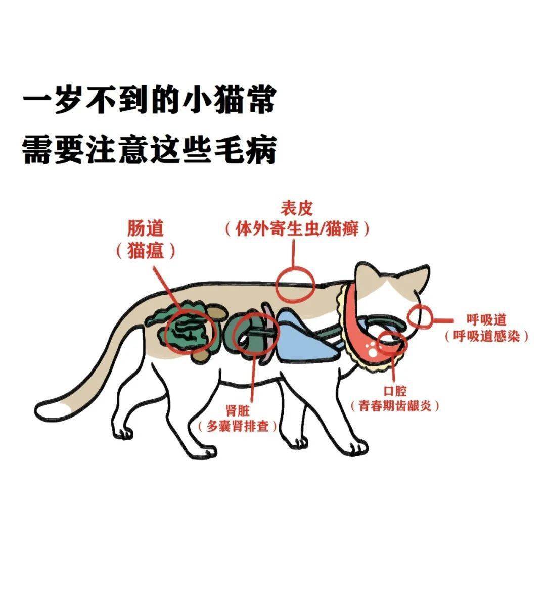b388562bd95c40d29ed26c11121331a9.jpeg