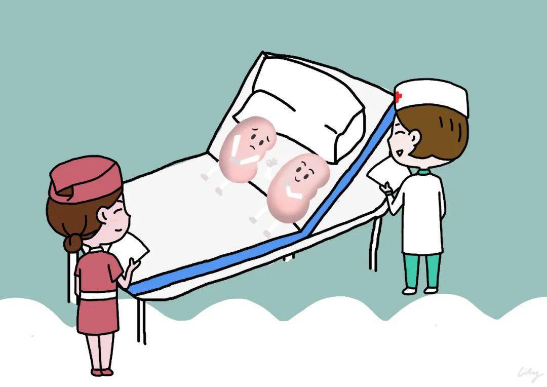 活体亲属肾移植的临床疗效如何_受者