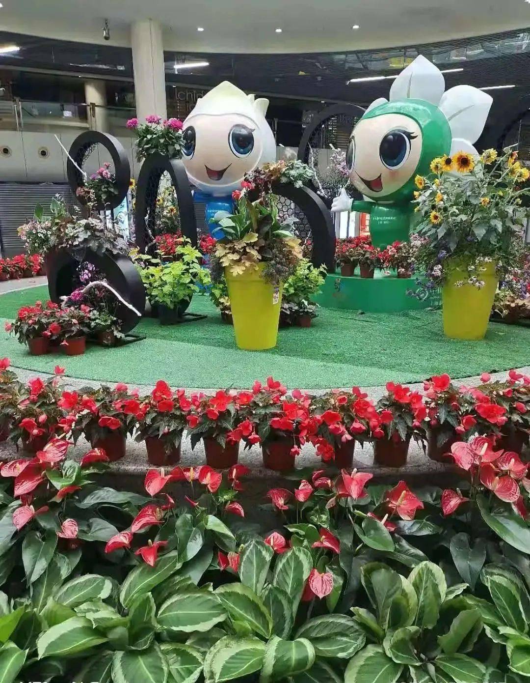 身边的花博丨圆圆梦梦与您相约上海地铁