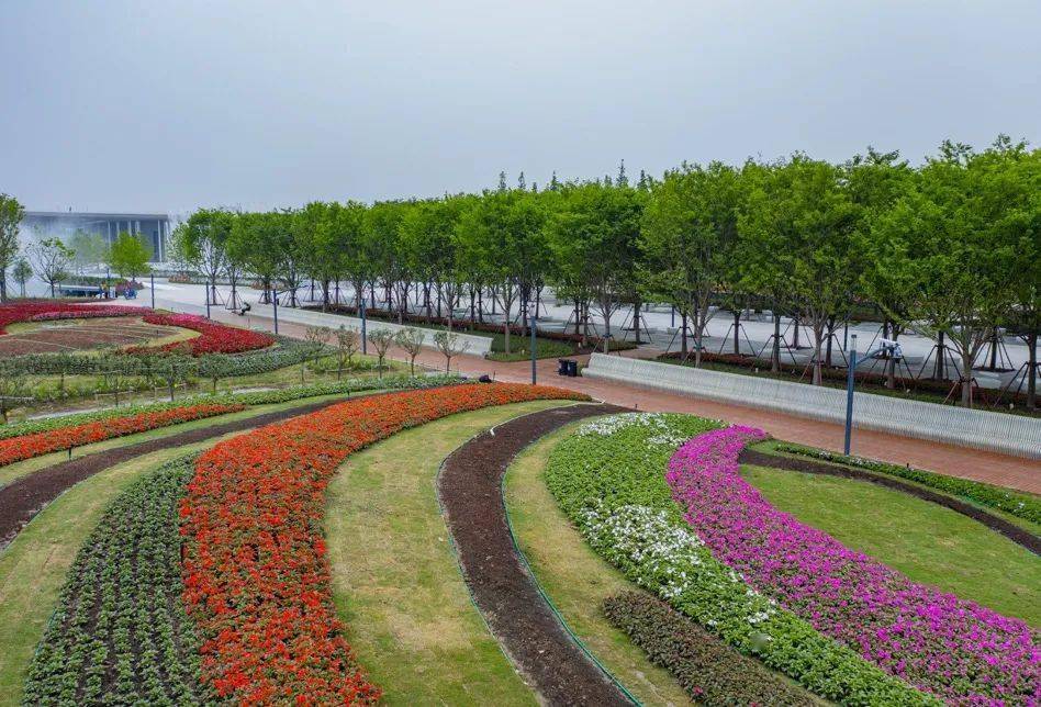 牛奶空盒制成观花长椅"牛奶盒长椅,是花博会筹办方"生态办博"的缩影.