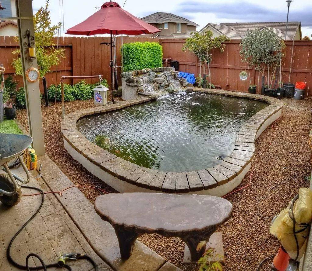 3900加仑的鱼池,确实是烧钱啊.