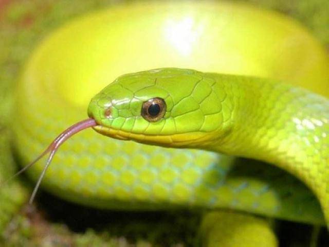 生物层面的压力源_世间生物压力_生物压力有哪些