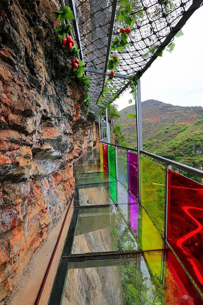 游西洋江大峡谷,走侬人谷七彩9d玻璃栈道_广南县