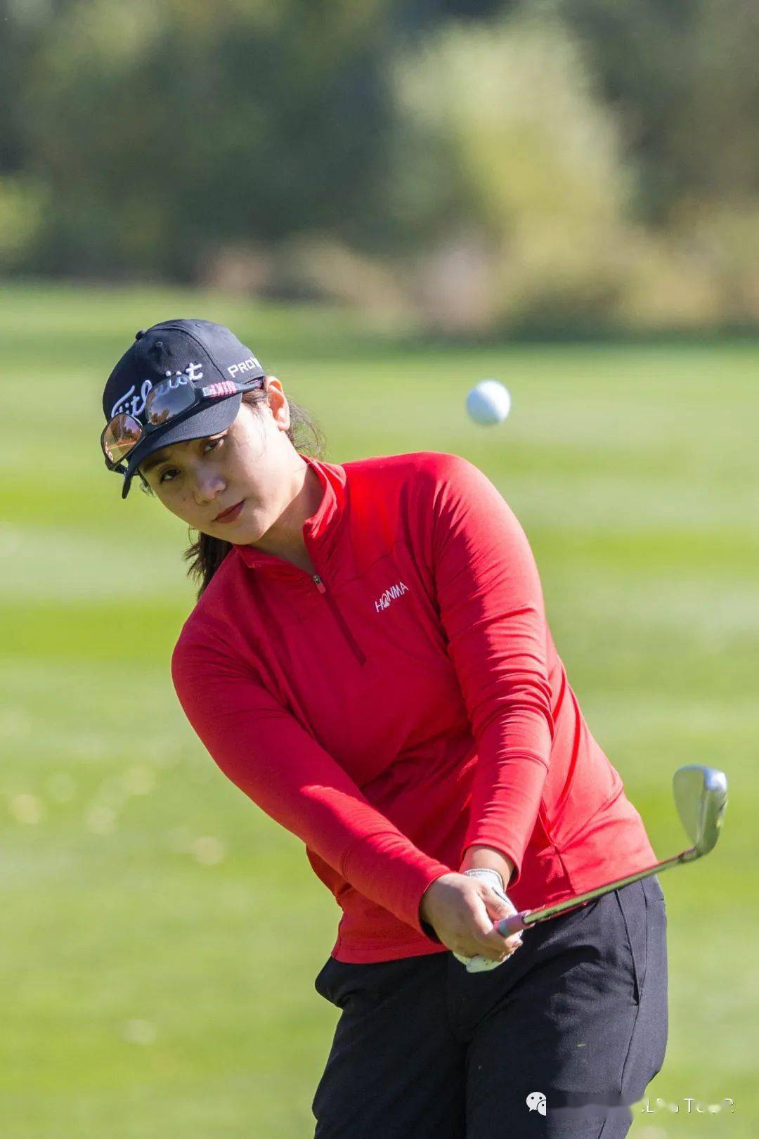 精准与颜值并存最受女子职业球手喜爱的竟然是它