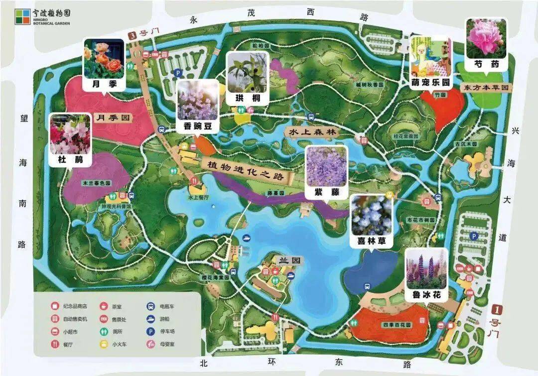 宁波4条公交出游专线来了|五一期间,东钱湖景区这样管制!_植物园