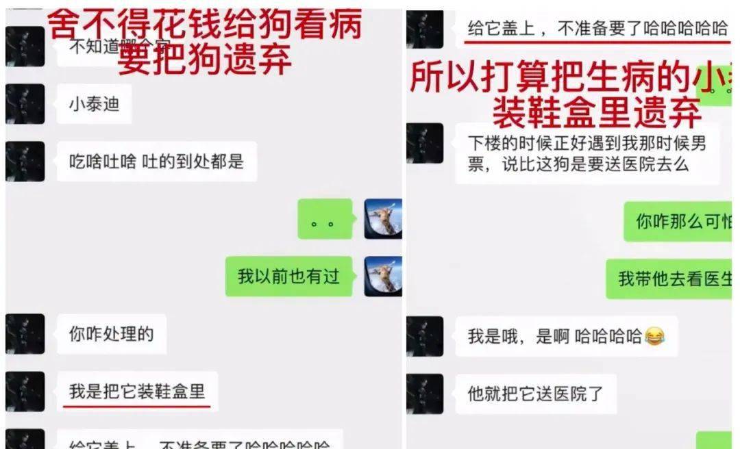 在张恒爆出来的聊天记录里,有这么一个震碎三观的桥段