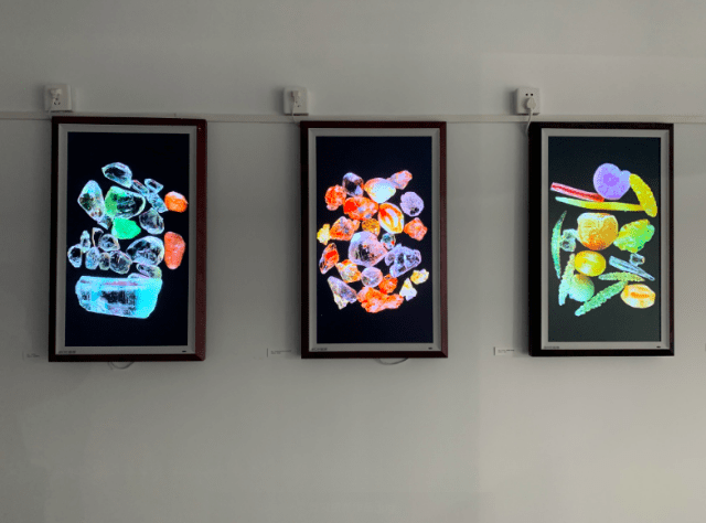 博物|8米长恐龙模型、远古琥珀、黑水摄影……假期来这里能大饱眼福