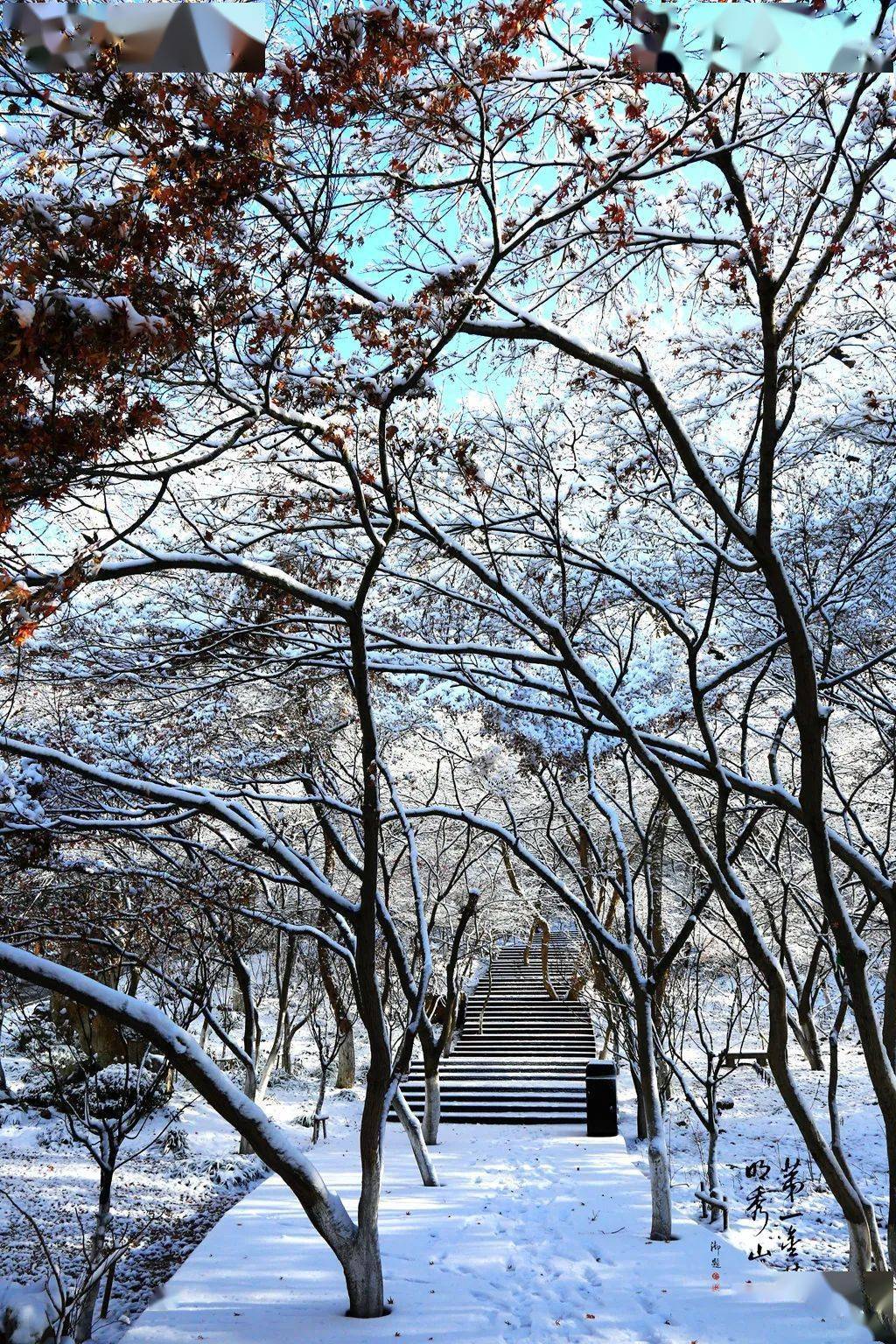 走起栖霞山森林步道入选首批江苏森林步道