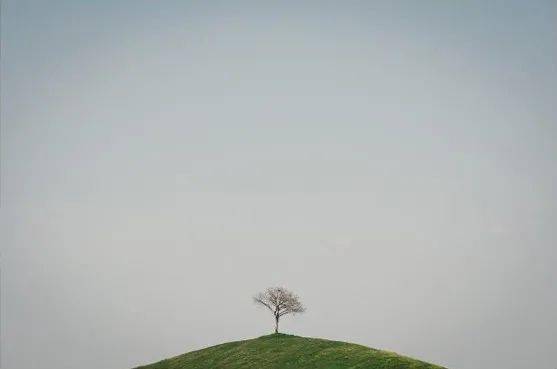 如何让心平静 6a447f411d2841b8a2e26e0c5877c4a1.jpeg