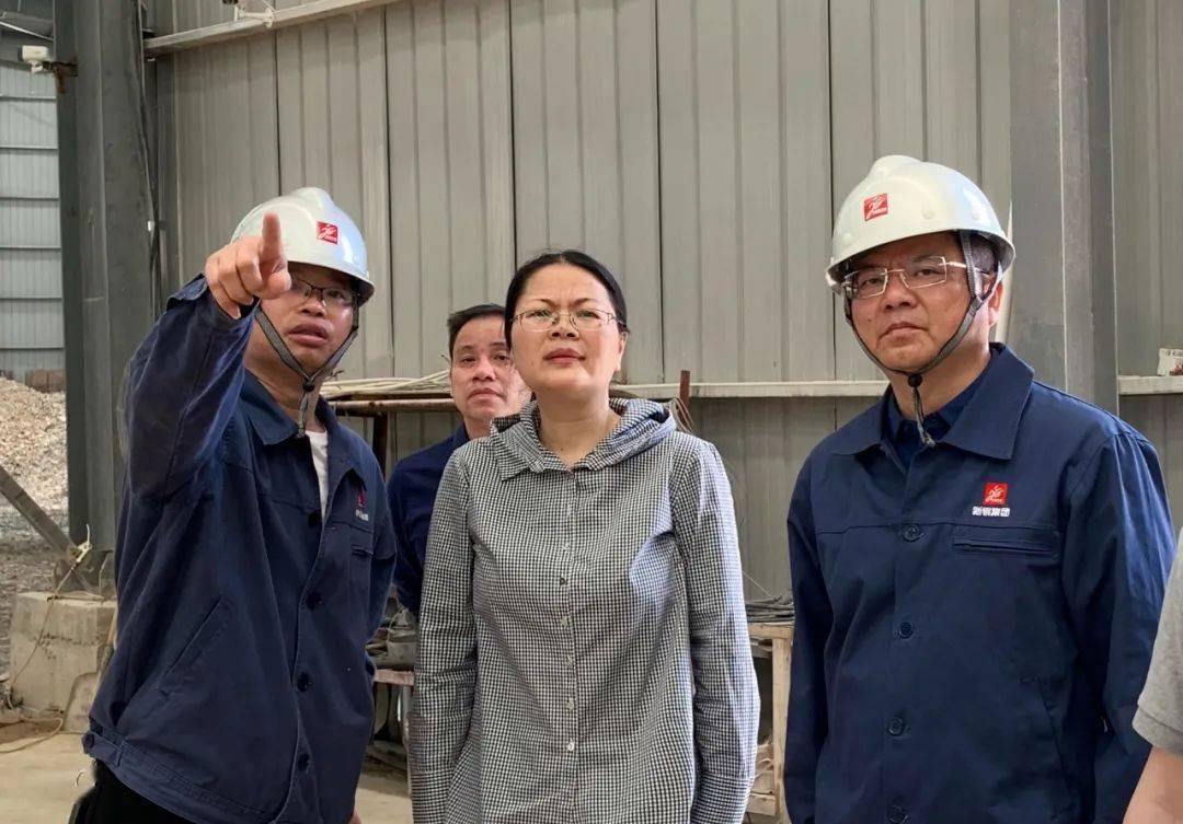 渝水区委书记李虹督导调研中央环保督察反馈问题整改工作