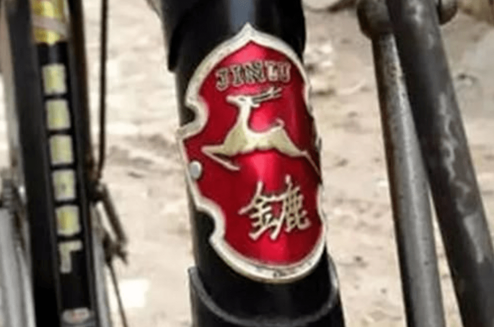 能学会骑自行车的青岛人9博体育已经属于“珍稀物种”了(图25)