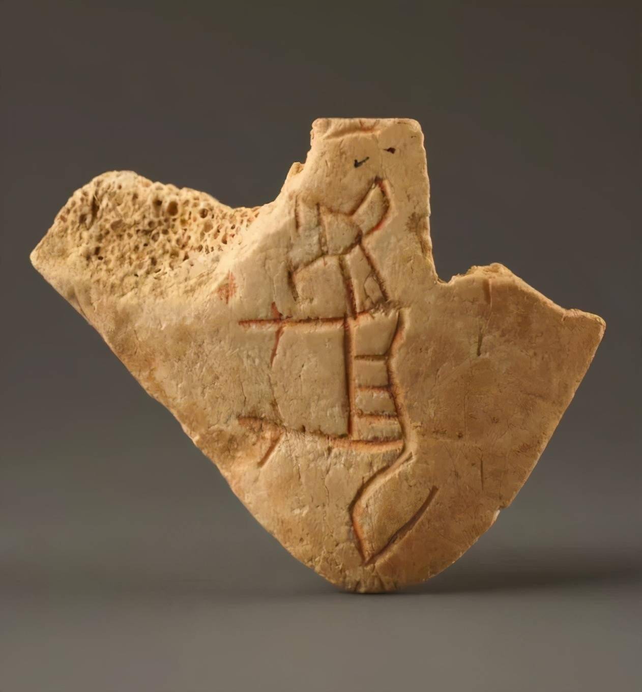 微距高清看甲骨文震撼眼球