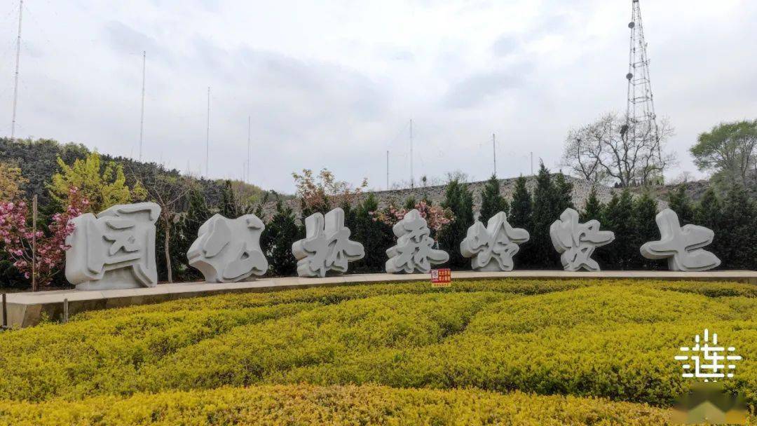 七贤岭森林公园网红木栈道