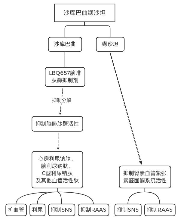 沙庫巴曲纈沙坦,這種心衰藥為何成為夜間降壓新藥?