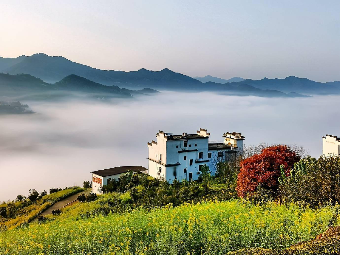 披星戴月去追雾坡山村来龙顶上观云海波澜壮阔美不胜收