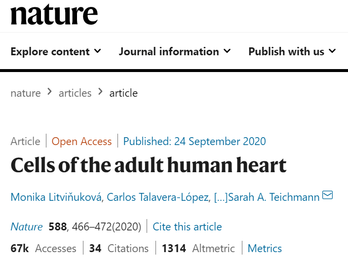 Nature 英国 德国 加拿大等多家顶尖研究机构 构建了迄今为止最全的人类心脏单细胞图谱 解剖