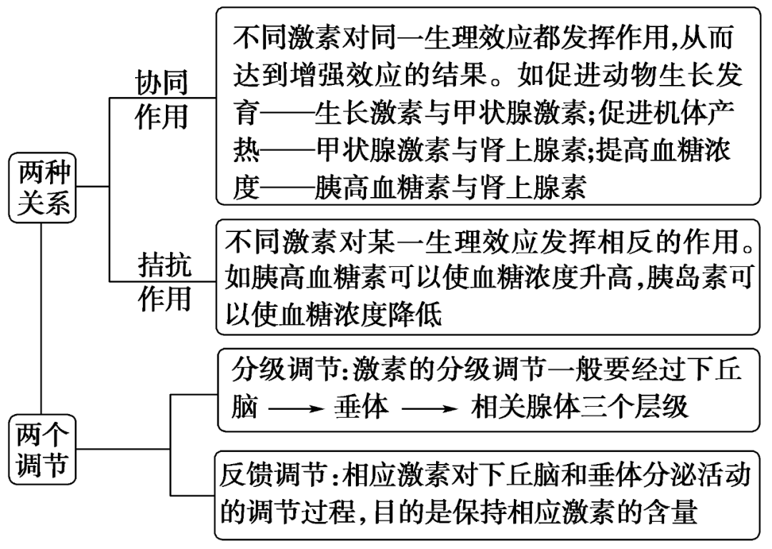 性激素等分泌调节属于甲类型,即:(2)抗利尿激素的分泌调节属于乙类型