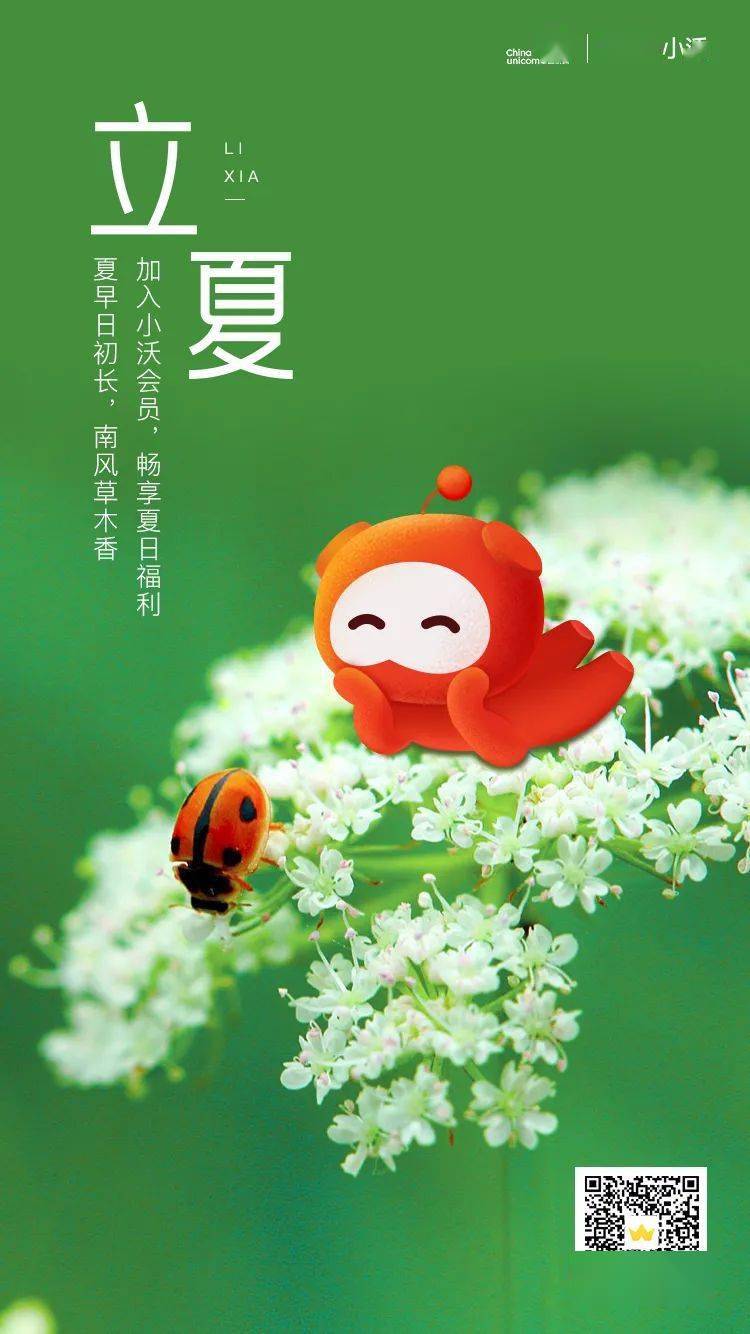 立夏丨夏气重渊底春光万象中