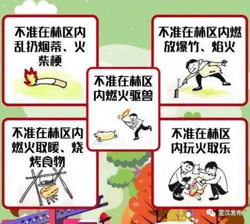 进入林区必须做到"五不准"指什么?4森林防火期内.