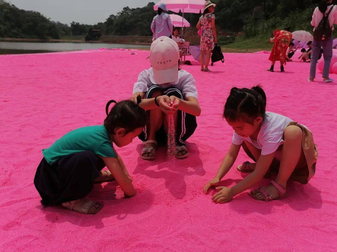 在粉色沙滩上,孩子们尽情地玩着沙子.