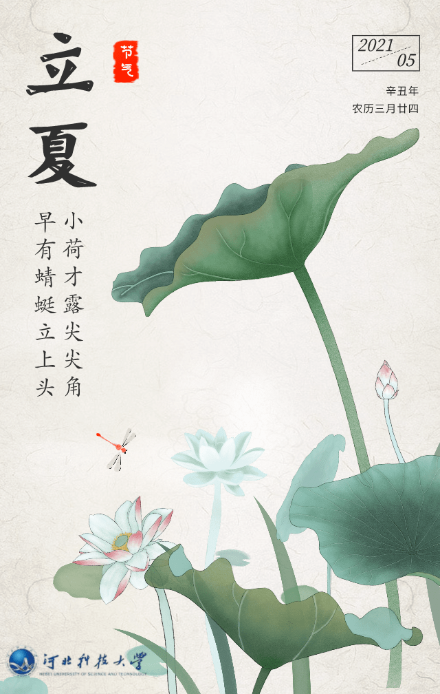 今日立夏心田常植繁花生命便如沐初夏