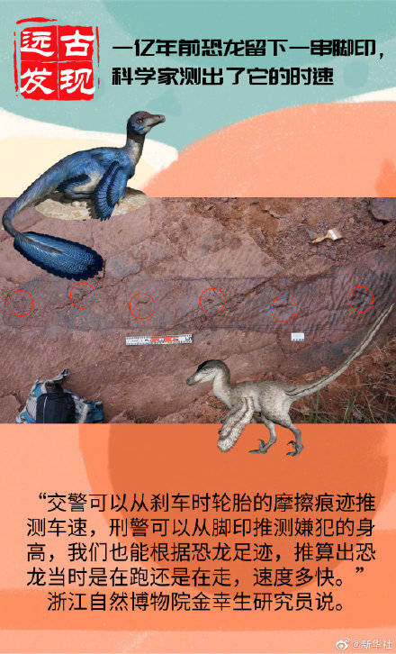 速度|古生物学家为亿年前恐龙测速