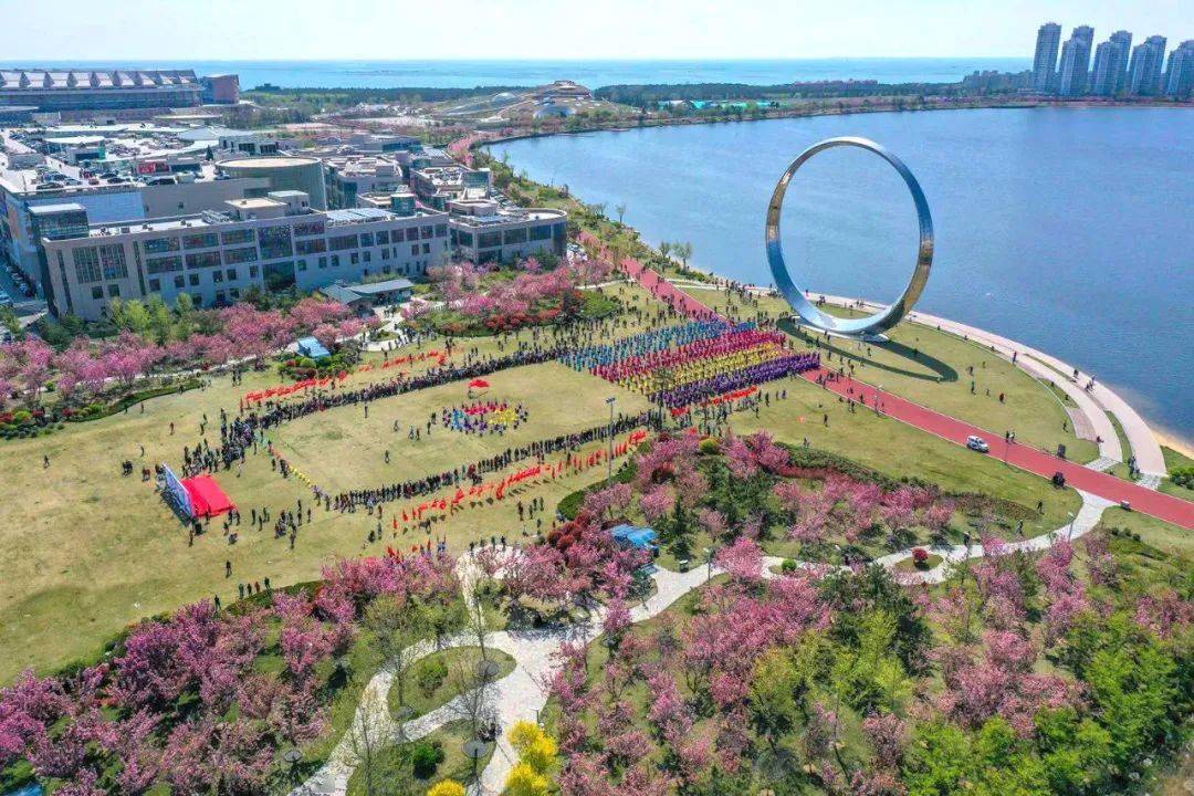 初夏荣成赏花,莫负曼妙好时光