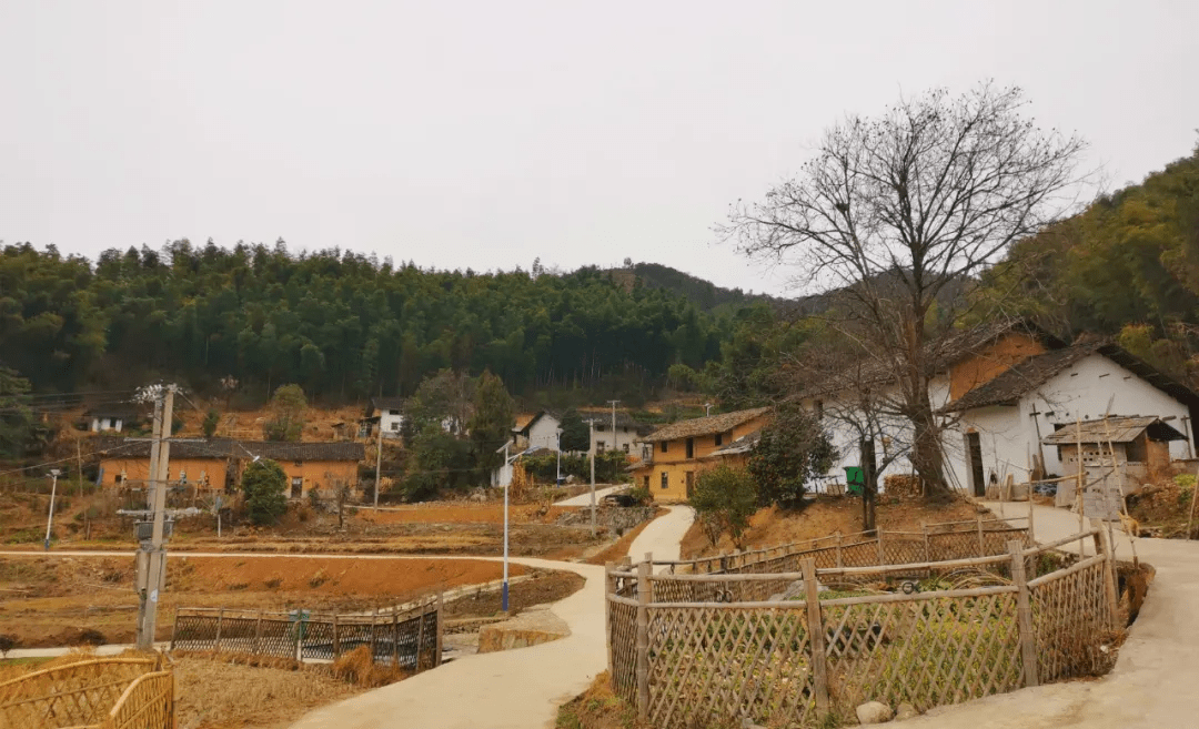 岳阳伍市镇图片