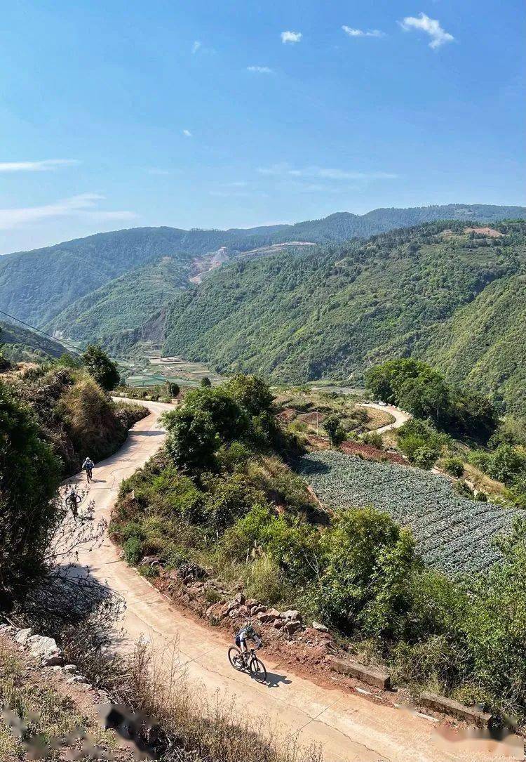 滇南蒙古乡兴蒙甜瓜节