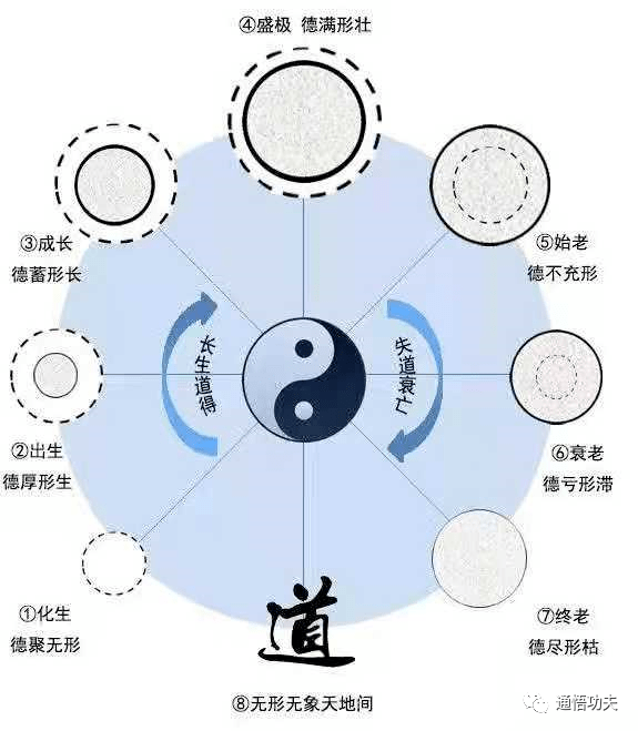 為什麼練太極拳一定要練無極樁體系?_藝術